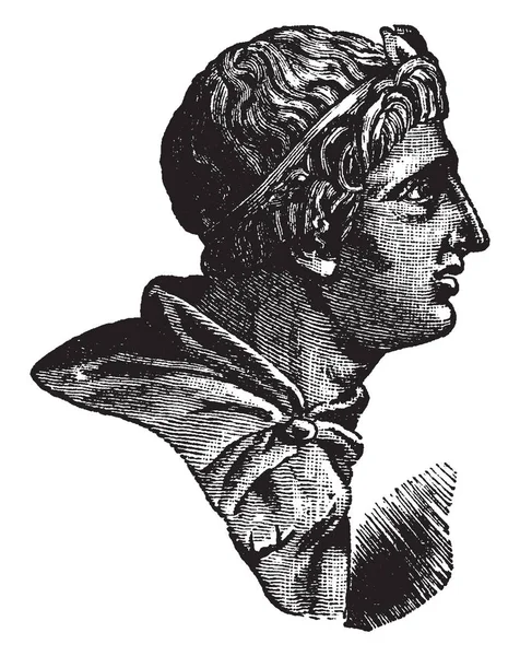 Demetrius Poliorcetes Était Noble Grec Macédonien Chef Militaire Roi Macédoine — Image vectorielle