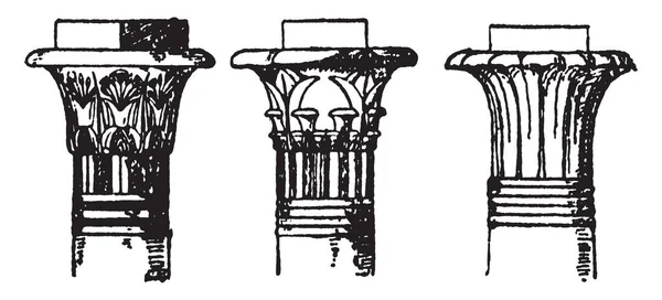 Types Capitaux Cloche Forme Campaniforme Palmiforme Dessin Ligne Vintage Illustration — Image vectorielle