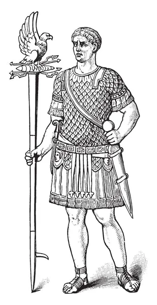 Aquilifer Roman Soldier Vintage Line Drawing Engraving Illustration — Stock Vector