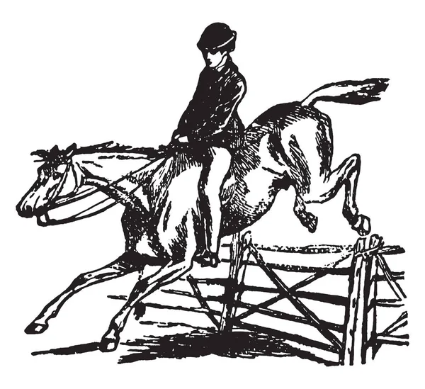 Caballo Está Saltando Cruzando Obstáculo Durante Carrera Dibujo Líneas Vintage — Archivo Imágenes Vectoriales