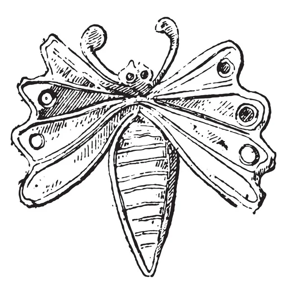 Papillon Illustration Gravée Vintage — Image vectorielle