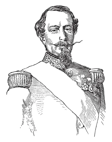 Napoleon Iii Francja 1808 1873 Był Prezydenta Francji Lat 1848 — Wektor stockowy