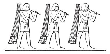 Sheaves taşıyıcılarının, vintage illüstrasyon kazınmış.