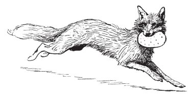 Ağız ve çalışan, vintage çizgi çizme veya illüstrasyon oyma ekmek tutan fox