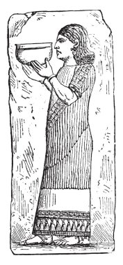 bir hadım, vintage illüstrasyon kazınmış.