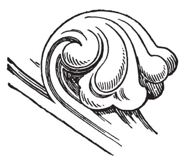 Orada, Mimarlık, İngiltere, Exeter Katedrali, stilize, vintage çizgi çizme veya oyma illüstrasyon.