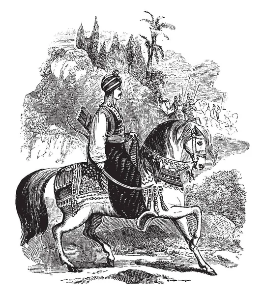 Saladin Een Klein Paard Vintage Lijntekening Gravure Illustratie — Stockvector