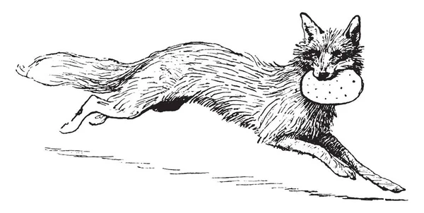 Ağız ve çalışan, vintage çizgi çizme veya illüstrasyon oyma ekmek tutan fox
