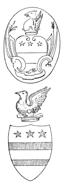 Washington Arms Son Brazos Familia Dibujo Líneas Vintage Ilustración Grabado — Archivo Imágenes Vectoriales