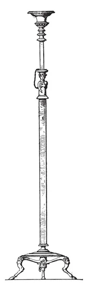 가지가 빈티지 새겨진 1881의 — 스톡 벡터