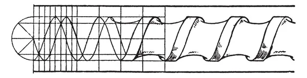 Лепка Веревочки Имеет Форму Накладки Размещена Необходимы Профили Винтажный Рисунок — стоковый вектор