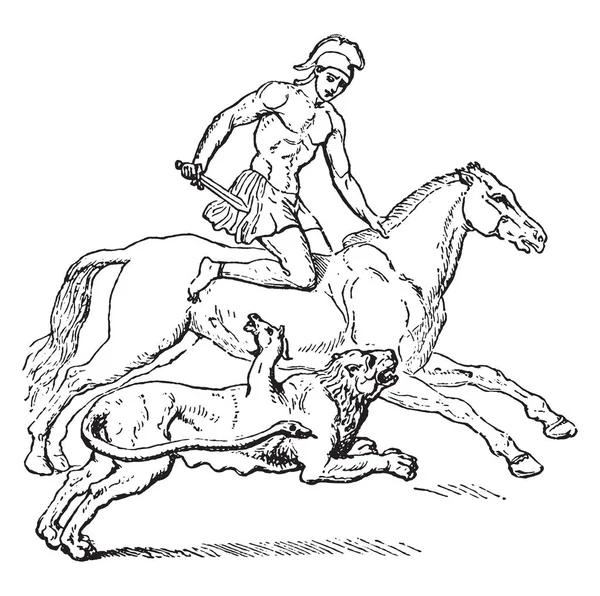 贝莱罗芬和奇美拉之间的争斗 两者都互相攻击 复古线画或雕刻插图 — 图库矢量图片