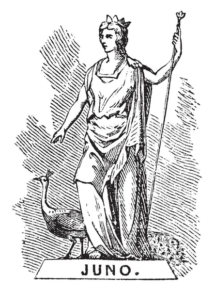 Statue Junon Ancienne Déesse Romaine Protectrice Conseillère Spéciale État Dessin — Image vectorielle