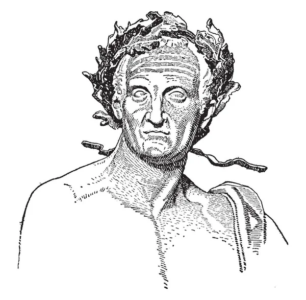 Nerva Fue Emperador Romano Dibujo Líneas Vintage Ilustración Grabado — Archivo Imágenes Vectoriales