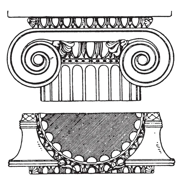 Graeco Ionic Capital Яичная Полоса Интервалы Пальметты Рисунок Винтажных Линий — стоковый вектор