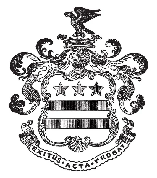 Washington Family Coat Arms Dito Estar Inspiração Das Estrelas Desenho — Vetor de Stock