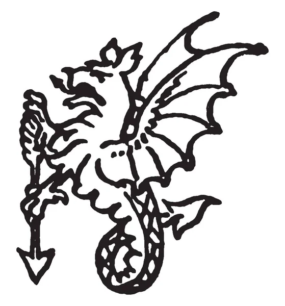 Une Image Wyvern Qui Est Type Dragon Qui Que Deux — Image vectorielle