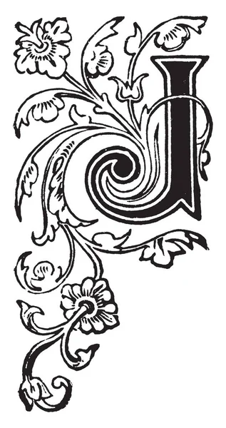 Una Letra Mayúscula Decorativa Floral Dibujo Línea Vintage Ilustración Grabado — Vector de stock