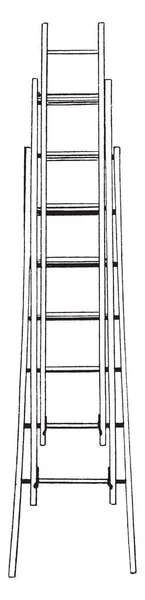 Deze Afbeelding Vertegenwoordigt Extensie Ladder Die Leunde Tegen Een Gebouw — Stockvector