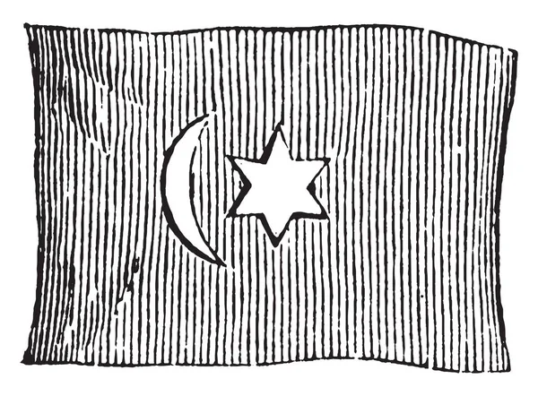 垂直三日月があり 六芒星がわずかに左センター ビンテージの線描画や彫刻イラストのトルコ 1881 この国旗の旗 — ストックベクタ