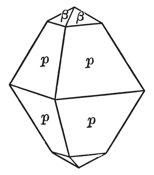 Este Diagrama Representa Scheelite Las Caras Pirámide Tercer Orden Son — Vector de stock