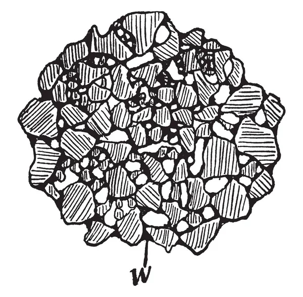 この図は ヴィンテージの線描画や彫刻の図を明らかにする耕作されている土壌の団粒を表します — ストックベクタ