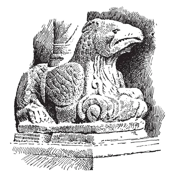 Griffe Porche Duomo Animal Imaginaire Supposé Généré Entre Lion Aigle — Image vectorielle