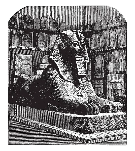 Androsphinx Thothmes Sphinx Sphynx Familier Tête Homme Pharaon Puissant Dessin — Image vectorielle