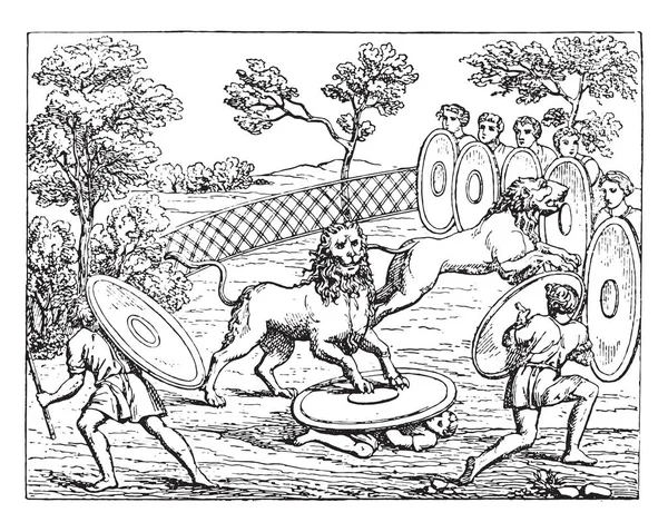 Hunting lions, vintage engraved illustration
