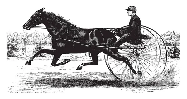 Horse Drawn Buggy Buggy Tipo Carrera Que Dibuja Detrás Caballo — Archivo Imágenes Vectoriales