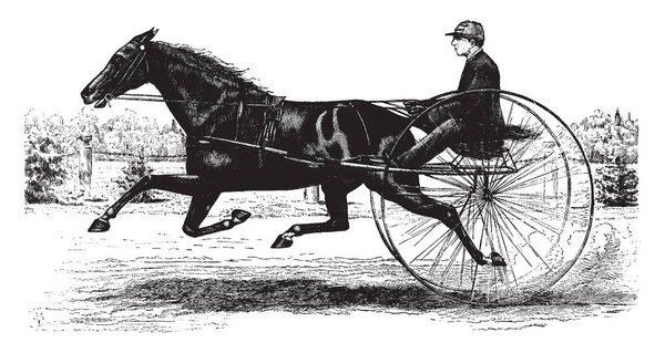 Horse Drawn Buggy is a race type buggy being drawn behind a race horse, vintage line drawing or engraving illustration.