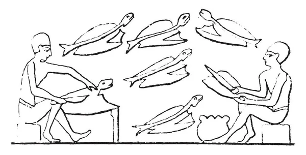 Рыболов Винтажная Гравированная Иллюстрация — стоковый вектор