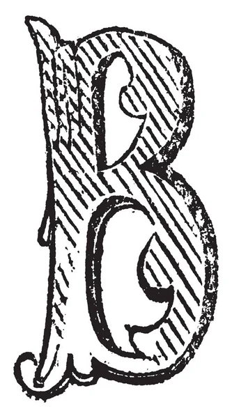 Decorative Capital Letter Vintage Line Drawing Engraving Illustration — Stock Vector
