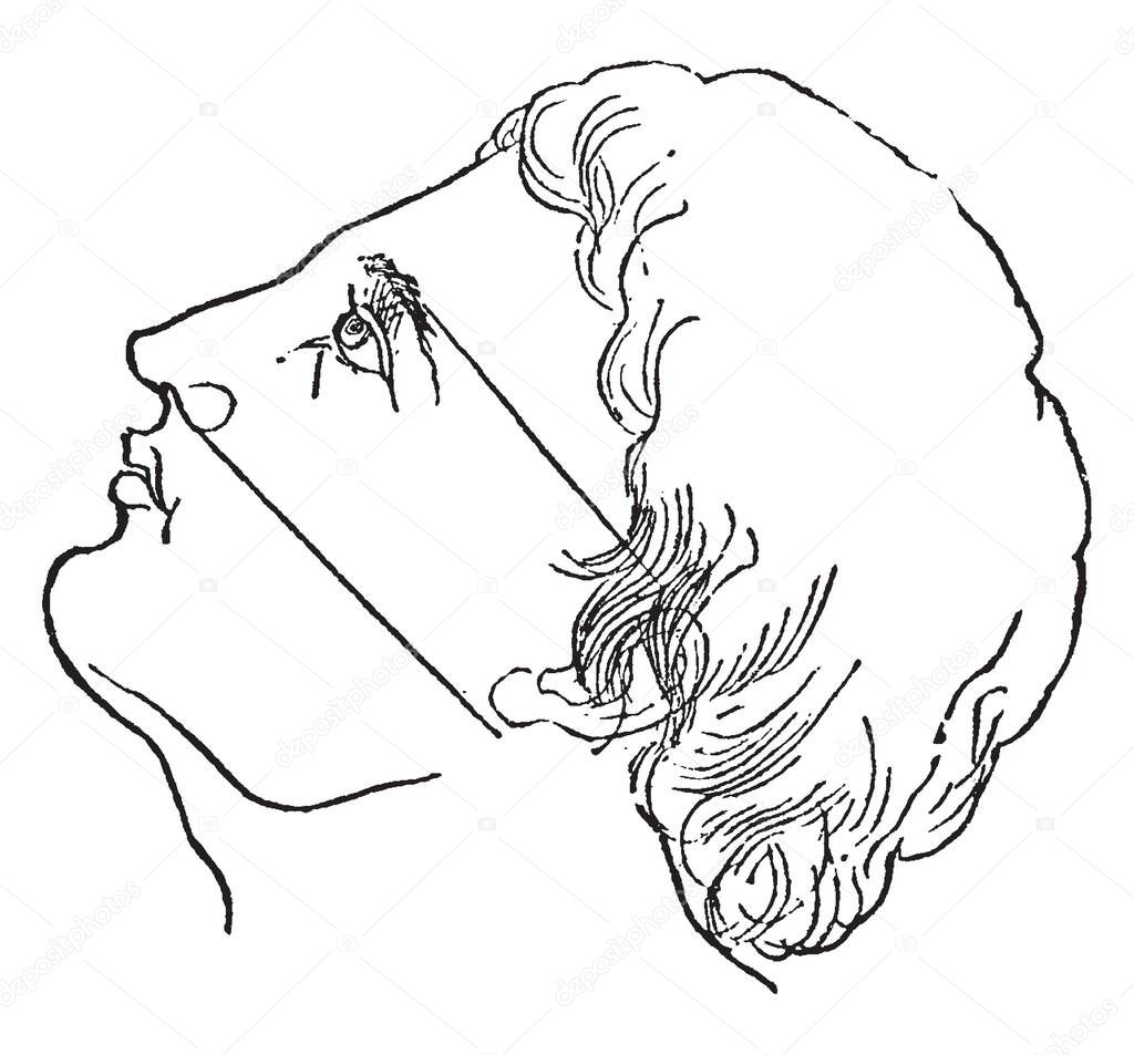 Face Perspective is comes in handy when drawing it in relation to other objects, it is the artistic challenge of drawing faces and the personal rewards can be limitless, vintage line drawing or engraving illustration.