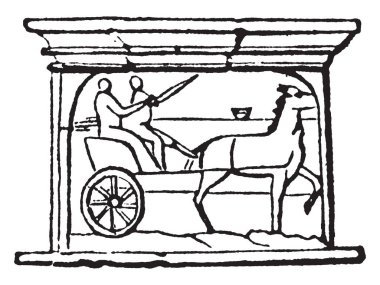 Cisium iki tekerlek iki kişi hızla yer yer yürütmek için uyarlanmış, vintage çizgi çizme veya oyma illüstrasyon ile hafif bir açık arabası olduğunu.