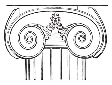 Apollon Tapınağı, türbin binasında iyonik başkentten, bir cyma, daha genel olarak, bir ovolo altında vintage çizgi çizme veya oyma illüstrasyon inci-boncuk ile süslü.