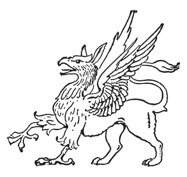 紋章のこの写真で グリフィンは頭と前足 ワシと体 後ろ足 ライオンの尾の素晴らしい動物です 頭は刺し耳 ビンテージ ライン描画または彫刻の図で表される — ストックベクタ