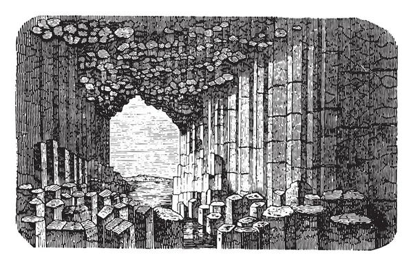 Базальтовые Призмы Винтажная Гравированная Иллюстрация Vie Dans Nature 1890 — стоковый вектор