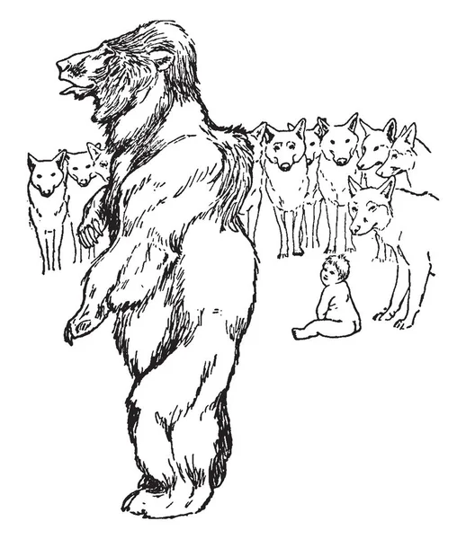 Oso Grupo Lobos Bebé Sentado Suelo Cerca Lobo Dibujo Línea — Archivo Imágenes Vectoriales