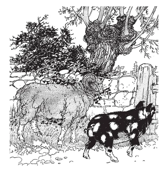 Ram Και Χοίρων Αυτή Εικόνα Δείχνει Και Πρόβατα Pig Περπάτημα — Διανυσματικό Αρχείο