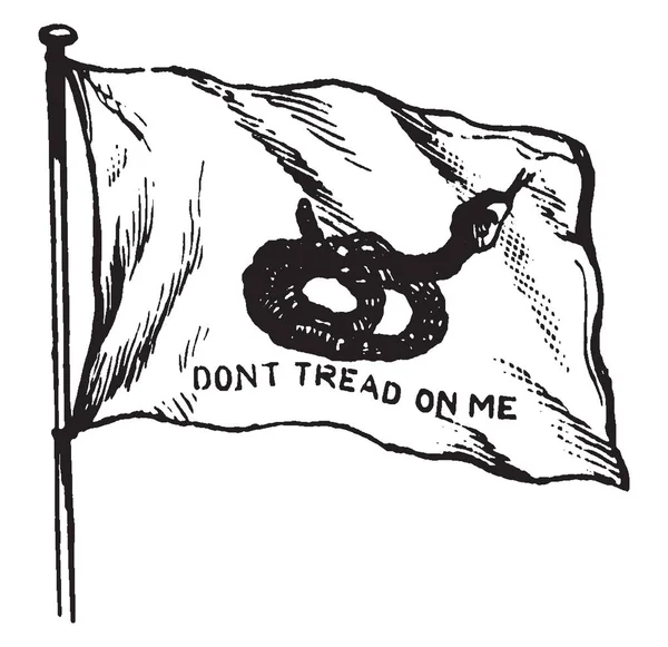 Rattlesnake Bandeira Carolina Sul 1895 Esta Bandeira Tem Cobra Meio —  Vetores de Stock