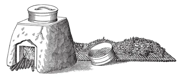 Denna Illustration Representerar Torkning Blad Där Teblad Kan Torkas Solljus — Stock vektor