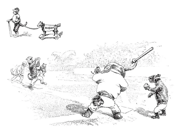 Бейсбол Jungleville Сцена Показывает Животных Человеческих Платьях Играть Бейсбол Джунглях — стоковый вектор