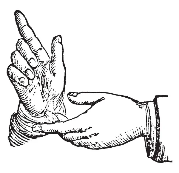 这张图片代表在论证 复古线图画或雕刻图的手的位置 — 图库矢量图片