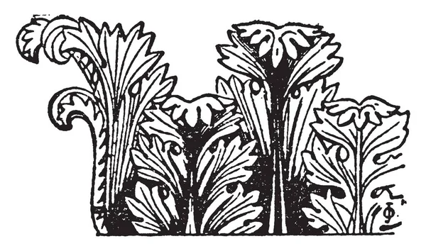 葉をカットして葉が前に傾いている 植物が生えて太く ヴィンテージの線描画や彫刻イラスト — ストックベクタ