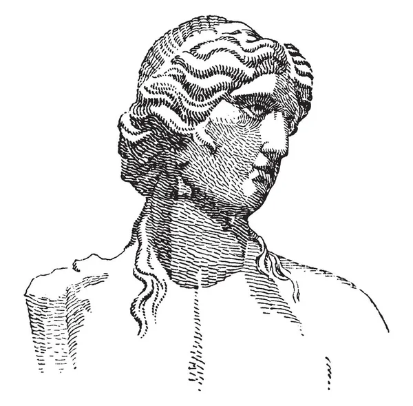 古典的なギリシャおよびローマの神の肖像画 それはアポロとして知られている 最も重要なギリシャやローマの神話 ヴィンテージの線描画や彫刻イラストでオリュンポス神の複合体の つです — ストックベクタ