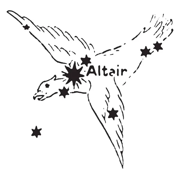 アルタイル星のこのグループおよび 光年の分離で地球に最も近い裸目の星の つの明るい星であります その名に由来するアラビア語 ビンテージの線描画や彫刻イラスト — ストックベクタ