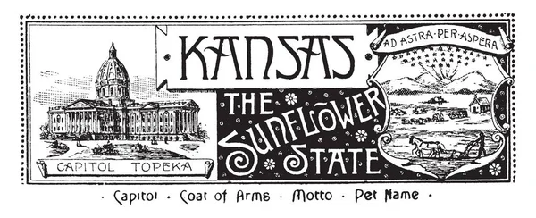 Kansas Ayçiçeği Devlet Afiş Devlet Bayrağı Devlet House Sol Sağ — Stok Vektör