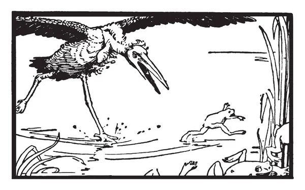 Байки Езопа Жаб Які Хотіли Короля Сцена Показує Птах Лелека — стоковий вектор
