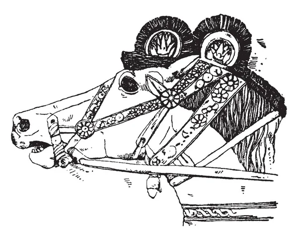馬の頭は アッシリアのレリーフ ビンテージ ライン描画または彫刻イラスト — ストックベクタ